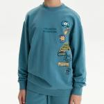 BFN3387 толстовка для мальчиков