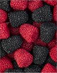Жев марм Bebeto Berries со вкусом ежевики и малины 1 кг