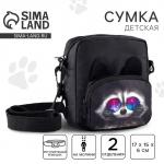 Сумка детская «Крутой енот», 17?15?6 см