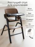 Стул для кормления CHARLEY