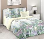 Палитра радости 1, Евро