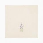 Полотенца махровые набор 3 шт. «Бабушка» 30?30 см, 100% хлопок, 340 г/м?