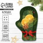 Блюдо новогоднее «Сочный Новый год», 22.5?14?2 см