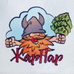 Набор для бани и сауны «Жар-пар», полиэфир, шерсть, 5 предметов: портфель, шапка, рукавица, коврик, мочалка, «Добропаровъ»