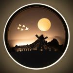 Бра 2509/1 LED 15 Вт 3000/4000К черно-белый 24?24 см