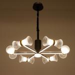 Люстра 1699/6 LED 100 Вт 3000-6000К черный 73?73?60 см BayerLux