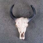 Настенный декор TAKE IT EASY «Череп», панно декоративное, 26?10?20 см