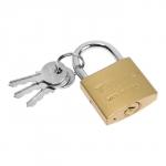 Замок навесной тип 14, 36?60 мм, 3 ключа