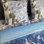 Постельное белье Шуйская бязь 209401