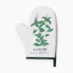 Варежка - прихватка «Доляна. Базилик», 20?27 см