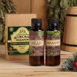 Новогодний набор ароматизаторов «Мужской подарок», кедр, эвкалипт, 2 шт. по 100 мл