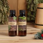 Новогодний набор ароматизаторов «Мужской подарок», кедр, эвкалипт, 2 шт. по 100 мл