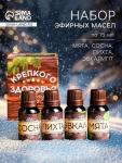 Новогодний набор эфирных масел «Крепкого здоровья», сосна, пихта, эвкалипт, мята, 4 шт. по 15 мл