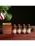 Новогодний набор эфирных масел «Крепкого здоровья», сосна, пихта, эвкалипт, мята, 4 шт. по 15 мл