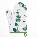 Варежка - прихватка «Доляна. Эвкалипт», 20?27 см, 100% хлопок, рогожка 164 г/м?