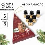 Аромамасла новогодние «Уютного года», набор 6 шт., 3 мл