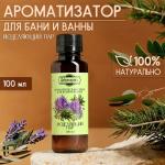 Ароматизатор Исцеляющий пар 100мл (9372888)