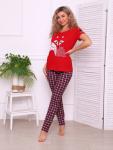 Пижама женская, модель 154, трикотаж (Red Fox (Красный лис))