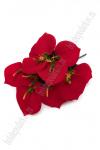 Букет цветов "Каллы" 50 см (SF-5102) красный