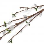 Веточка декоративная "Верба" 94 см (SF-8131) №4