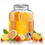 Лимонадница 5л Летняя прохлада