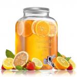 Лимонадница 8л Летняя прохлада