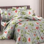 КПБ  бязь  Реноме