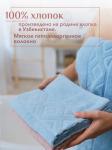 Набор полотенец махровых Ирбис из 4шт (50*90-2шт+70*140-2шт) Реноме, 14-1508 пудра/14-4508 голубой