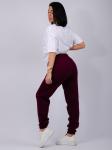 Джоггеры "Мистерия 2" бордо, футер 3-х нитка начес