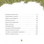 Karmalogic для детей. Приключение в Кармашкино