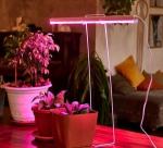 Uniel фито св-к св/д для рассады 18W 32мкм/с, выкл. красно-фиолетов свеч L=600 ULI-P42-18W/SPBX IP40