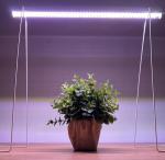 Uniel фито св-к св/д для растен 18W 35мкм/с, серебр, выкл. полн.сп/кремов L=600 ULI-P10-18W/SPFR IP4