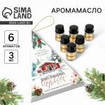 Аромамасла новогодние «Добро пожаловать в Новый год», на Новый год, набор 6 шт., 3 мл