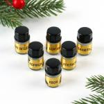 Аромамасла новогодние «Добро пожаловать в Новый год», на Новый год, набор 6 шт., 3 мл