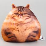 Игрушка антистресс «Кот»