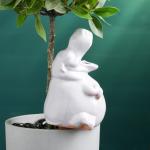 Автополив для комнатных растений «Бегемот», 200 мл, h=14 см, керамика