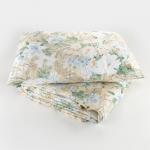 Комплект спальный «Экономь и Я»: одеяло 1.5-спальное, синтепон 100 г/м? + подушка 50?70 см, МИКС