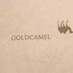 Одеяло 1.5-спальное «Этель. Верблюжья шерсть», 140?205 см, тик, 300 г/м?