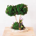 "Blumentag" BMSR-50 Мох стабилизированный окрашенный 50 г ± 5 г