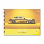 "Светоч" А207 Альбом для рисования, с пластик. обложкой 180 мкм., цветной титул лист 100 г/м2 A4 29 х 20.5 см 40 л. 5 шт. на гребне