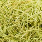 "Blumentag" BDF-50 Наполнитель "Трава" 50 г ± 5 г