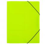 "Expert Complete" PRISMA NEON/Призма неон Папка на резинке A4 600 мкм 35 мм эффект 3D 5 шт.