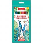 Карандаши Птицы 12 цв., заточен., картон. уп., европодвес, 229344