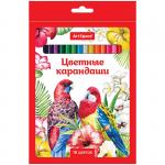 Карандаши Птицы 18 цв., заточен., картон. уп., европодвес, 229345