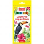 Карандаши Птицы 24 цв., заточен., картон. уп., европодвес, 229346