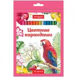 Карандаши Птицы 36 цв., заточен., картон. уп., европодвес, 229347