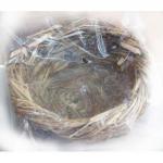 Гнездо плоское с ветками д\птиц 120 * 55 мм