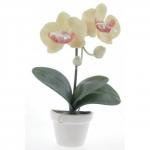 CM-68-A Магнит "Цветок-ваза" 1/12уп