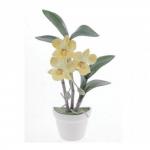 CM-72-A Магнит "Цветок-ваза" 1/12уп