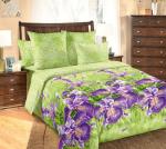 Анастасия основа 1